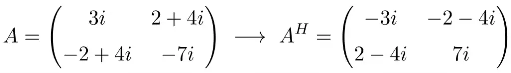 example of a 2z2 dimension skew hermitan or antihermitian matrix