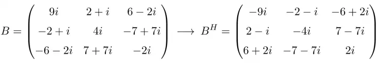 Skew hermitian or antihermitian matrix definition examples properties