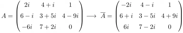 what-is-the-complex-conjugate-of-a-matrix-and-how-to-find-it