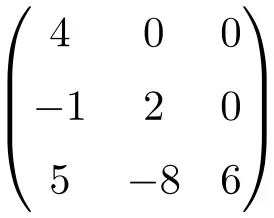 strictly lower triangular matrix of order 3